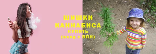 сатива Краснотурьинск