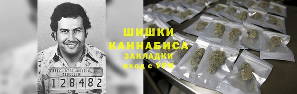 сатива Краснотурьинск