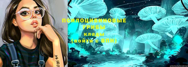 тгк Красноперекопск