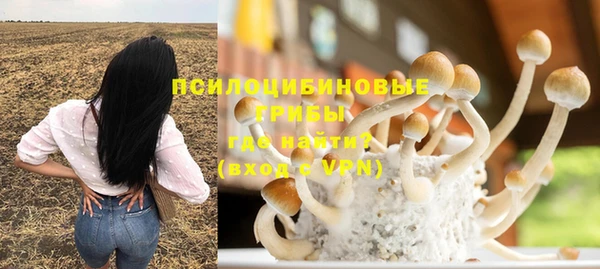 сатива Краснотурьинск