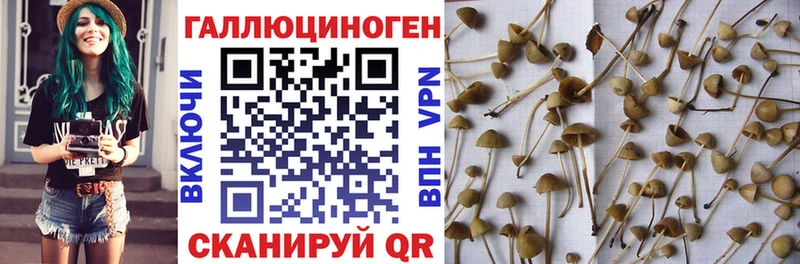 Галлюциногенные грибы MAGIC MUSHROOMS Щёлкино
